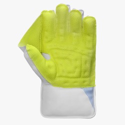 Custom Made Wicket Keeping Gloves- CMWKG0002 Custom Made Wicket Keeping Gloves- CMWKG0002