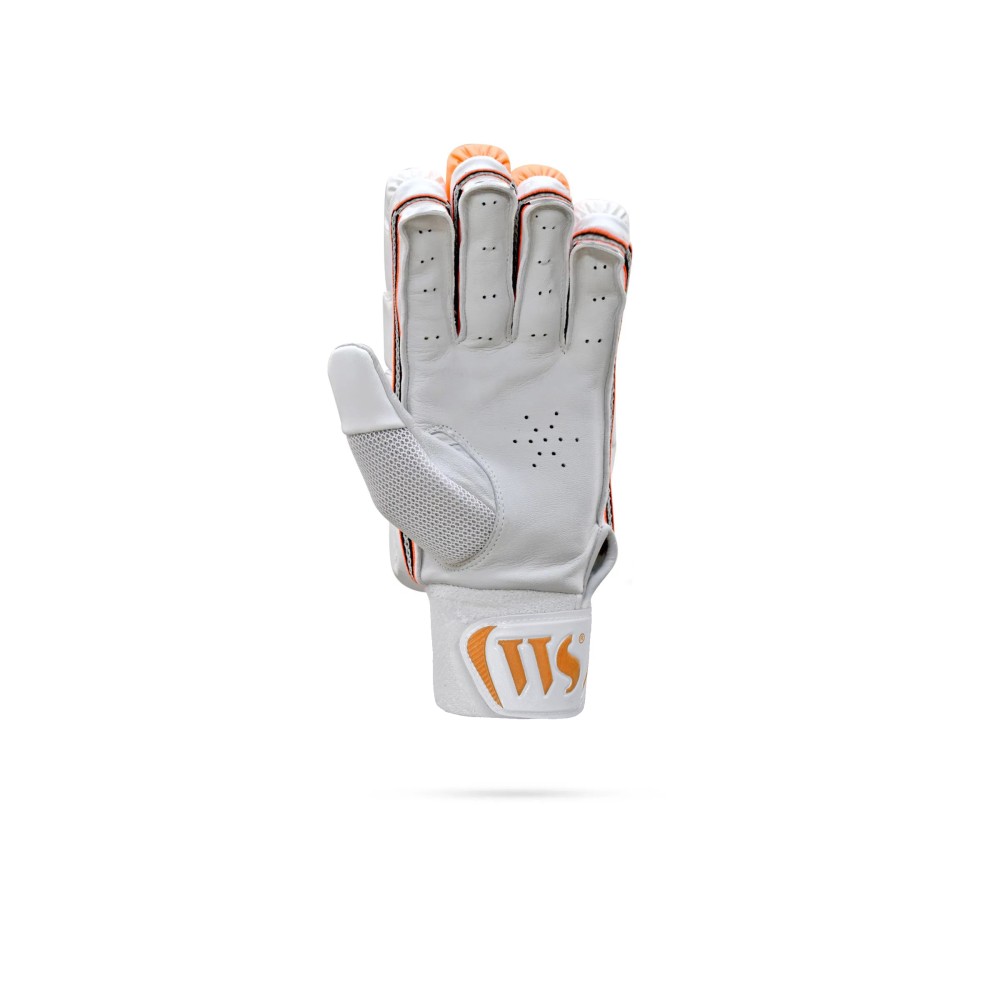 Brave 11.0 Cricket Batting Gloves