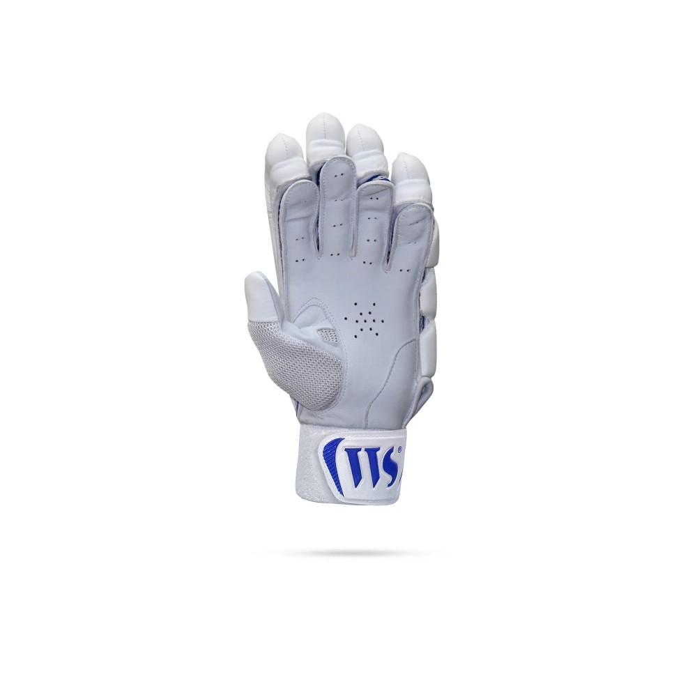 Brave 17.0 Cricket Batting Gloves