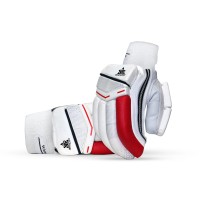 Brave 19.0 Cricket Batting Gloves