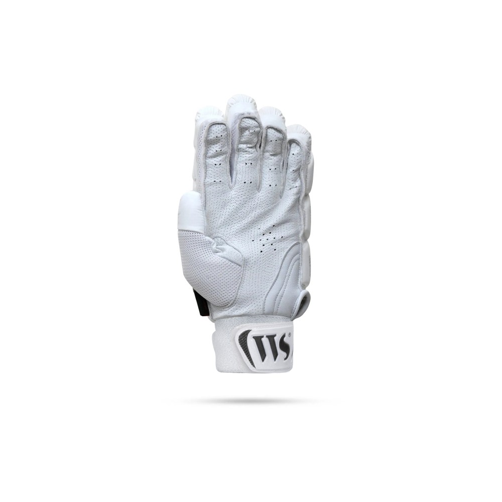 Brave 2.0 Cricket Batting Gloves
