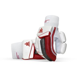 Brave 20.0 Cricket Batting Gloves