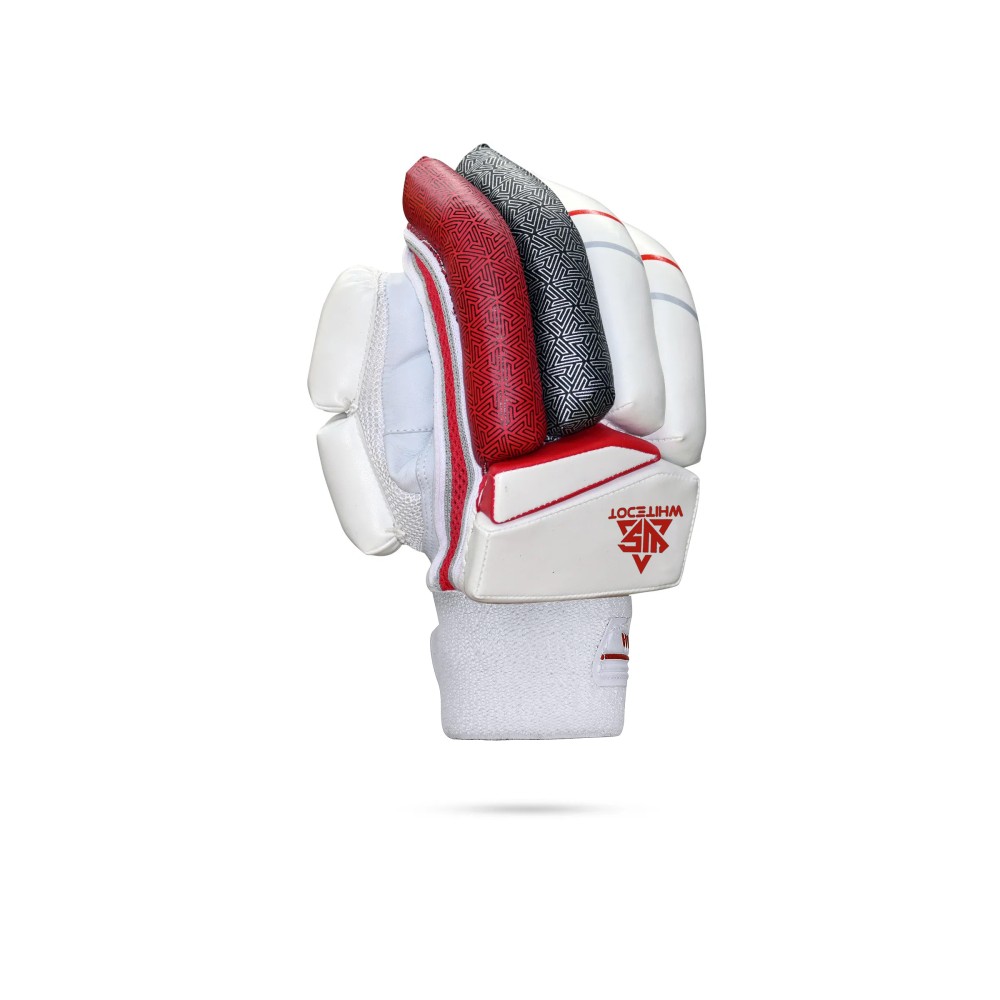 Brave 20.0 Cricket Batting Gloves
