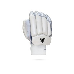 Brave 27.0 Cricket Batting Gloves Brave 27.0 Cricket Batting Gloves