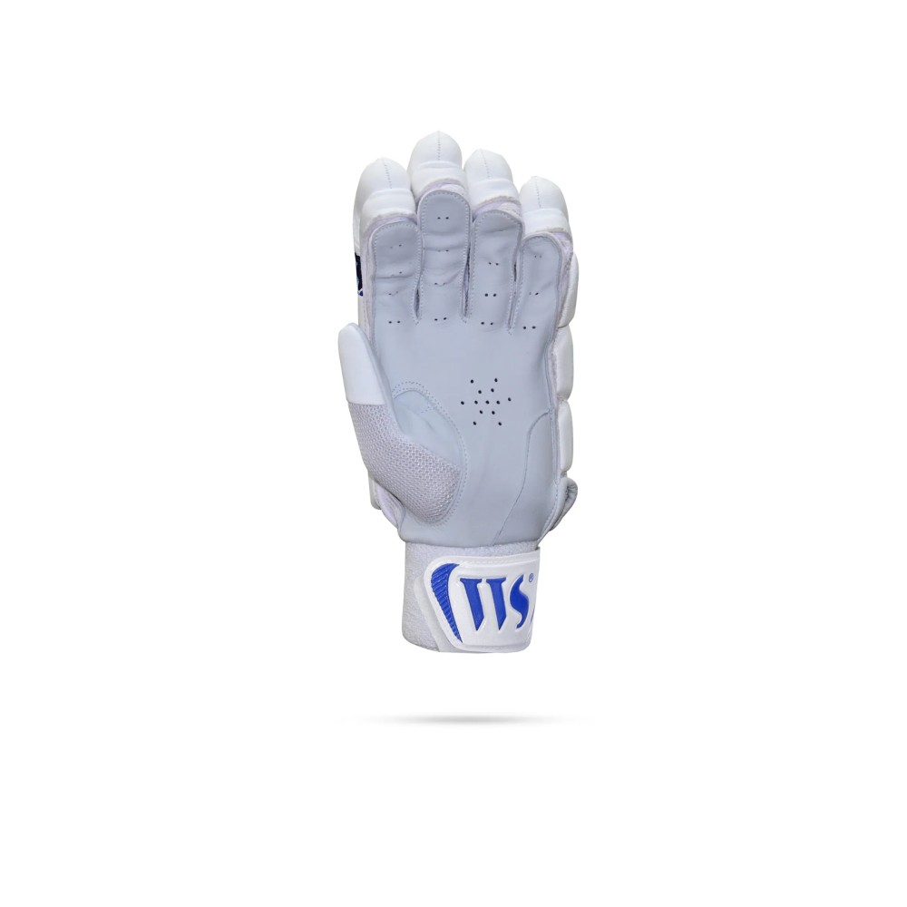 Brave 6.0 Cricket Batting Gloves