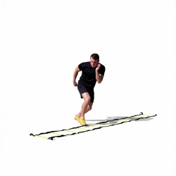 Y Ladder
