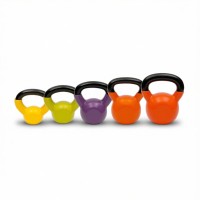 Vinyl Kettle Bell, 2KG