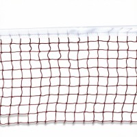 Champion Badminton Net