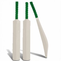 Titan 100 Cricket Bat