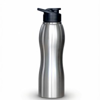 Steel Bottle Pro