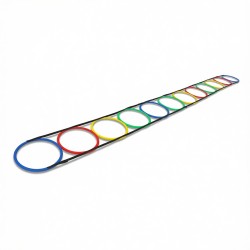 Flat Hoop Ladder