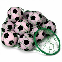 Ball Carrier With Hoop, 14” hoop with net