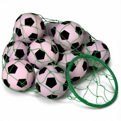 Ball Carrier With Hoop, 14” hoop with net Ball Carrier With Hoop, 14” hoop with net