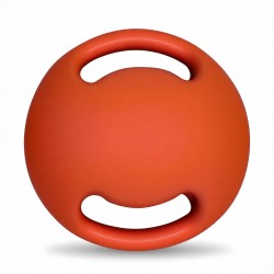 Dual Handle Medicine Ball