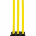 Cricket Stumps