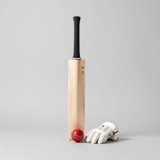 Cricket Cricket