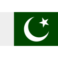 Pakistan Cricket Fan Jersey