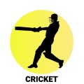 Cricket