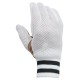 Albatross Keeping Inner Gloves