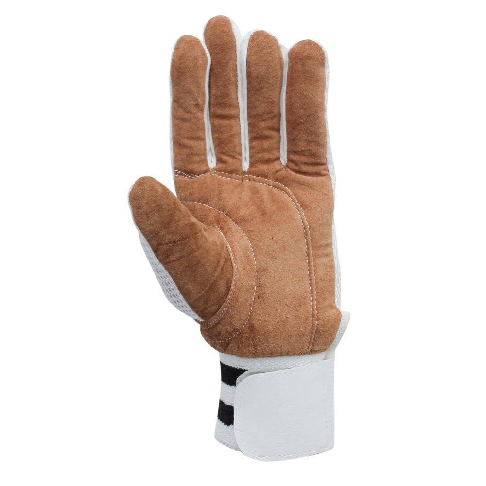 Albatross Keeping Inner Gloves