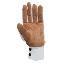 Albatross Keeping Inner Gloves