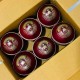 Albatross Red Cricket Leather Ball - 40 Over - Pack of 2