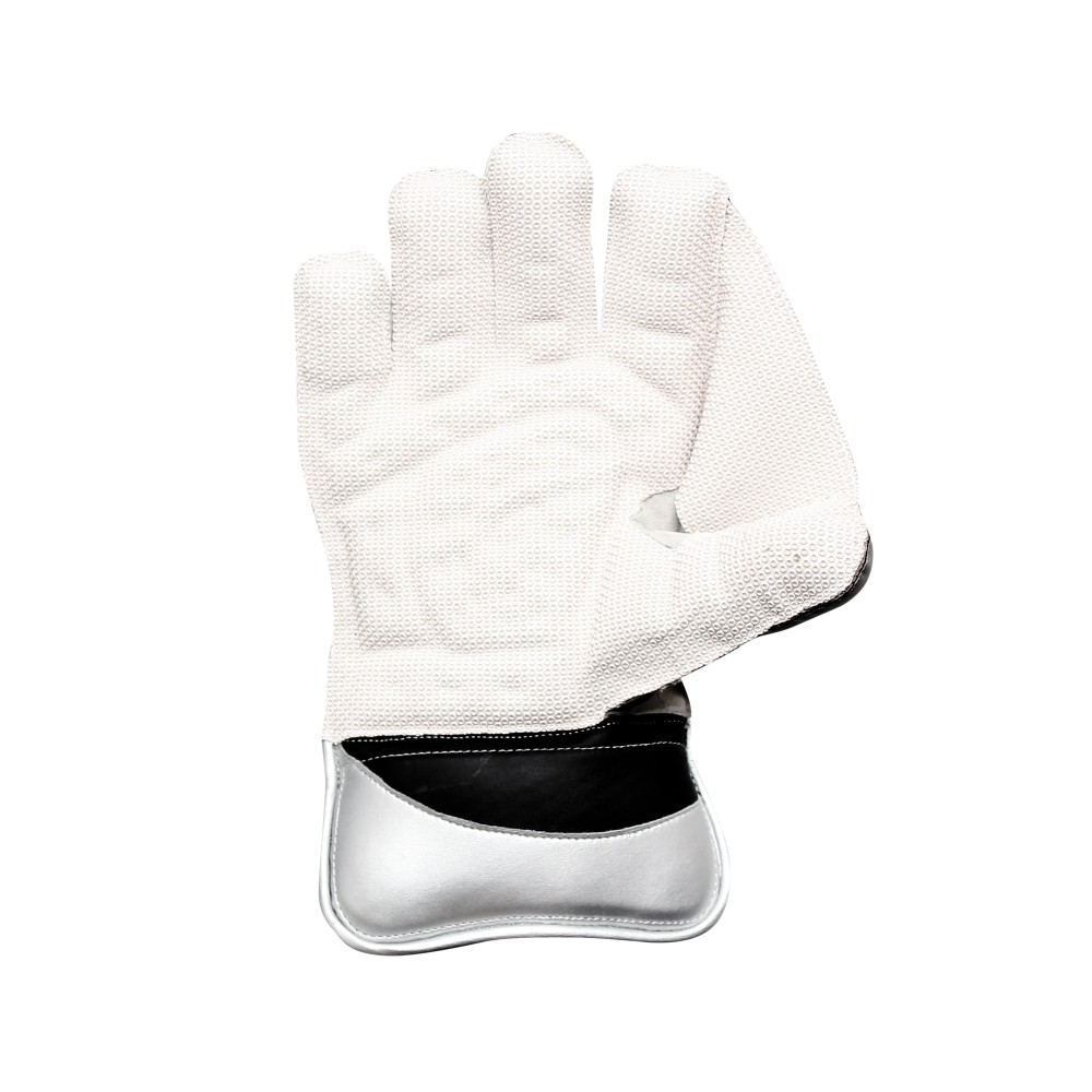 Albatross Wicket Keeping Gloves