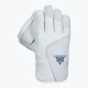 Avocet Wicket Keeping Gloves