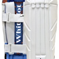 Avocet Wicket Keeping Pads