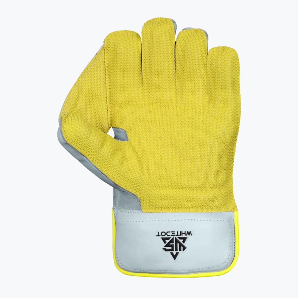 Cormorant Wicket Keeping Gloves