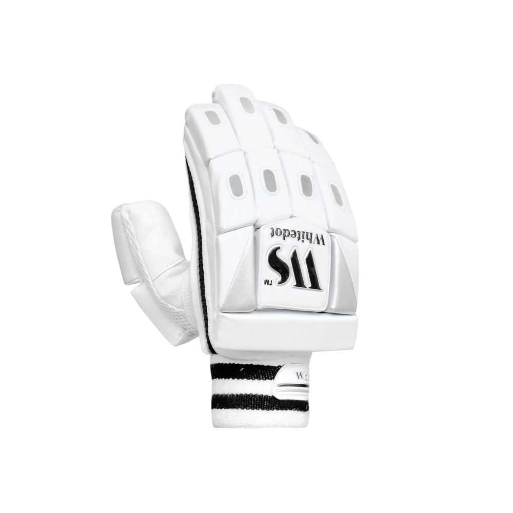 Dot 1.0 Cricket Batting Gloves