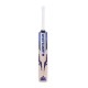 Dot 3.1 Blue Kashmir Willow Cricket Bat - Grade 1
