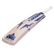 Dot 3.1 Blue Kashmir Willow Cricket Bat - Grade 1