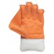 Eleanor Wicket Keeping Gloves