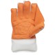 Eleanor Wicket Keeping Gloves
