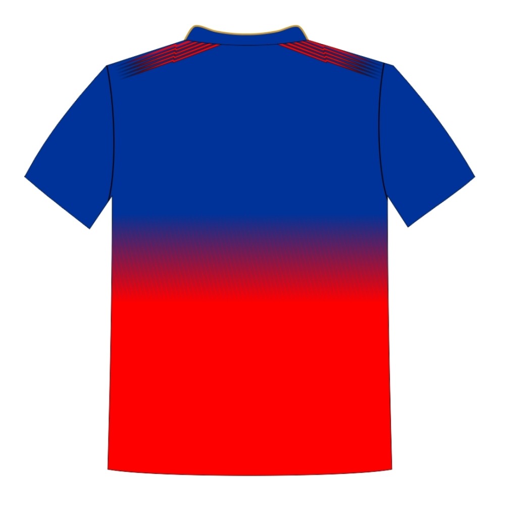 Printed Team Wear - 100% Dry fit Polyester - Personalize it with your name & club logo - 540008