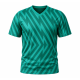 Printed Team Wear - 100% Dry fit Polyester - Personalize it with your name & club logo - 540017