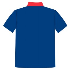 Printed Team Wear - 100% Dry fit Polyester - Personalize it with your name & club logo - 540053