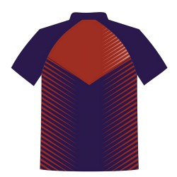 Printed Team Wear - 100% Dry fit Polyester - Personalize it with your name & club logo - 540057