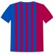 Printed Team Wear - 100% Dry fit Polyester - Personalize it with your name & club logo - 540065