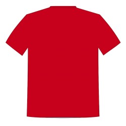 Printed Team Wear - 100% Dry fit Polyester - Personalize it with your name & club logo - 540073