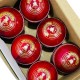 Summer Red Cricket Leather Ball - 50 Over - Pack of 2 Summer Red Cricket Leather Ball - 50 Over - Pack of 2