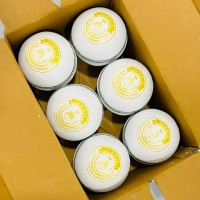 Summer White Cricket Leather Ball - 50 Over - Pack of 2