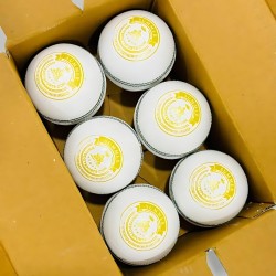 Summer White Cricket Leather Ball - 50 Over - Pack of 2