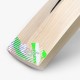 DSC Alex Hales Cricket Bat, Mens