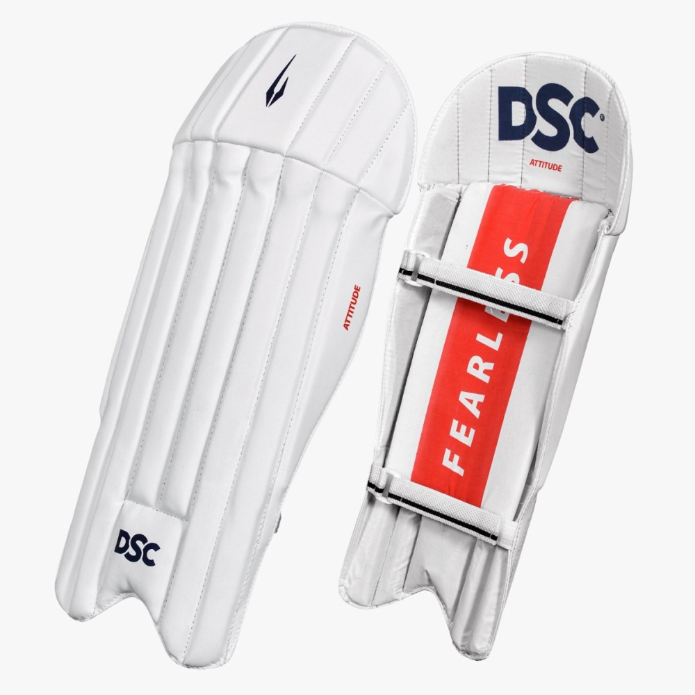 DSC Attitude Wicket Keeping Leg Guard, Boys