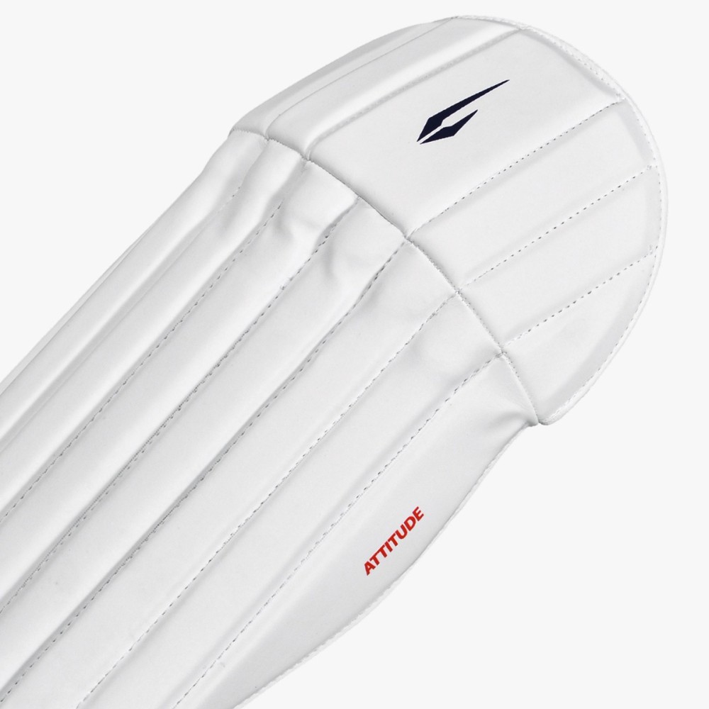 DSC Attitude Wicket Keeping Leg Guard, Boys