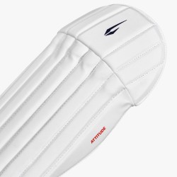DSC Attitude Wicket Keeping Leg Guard
