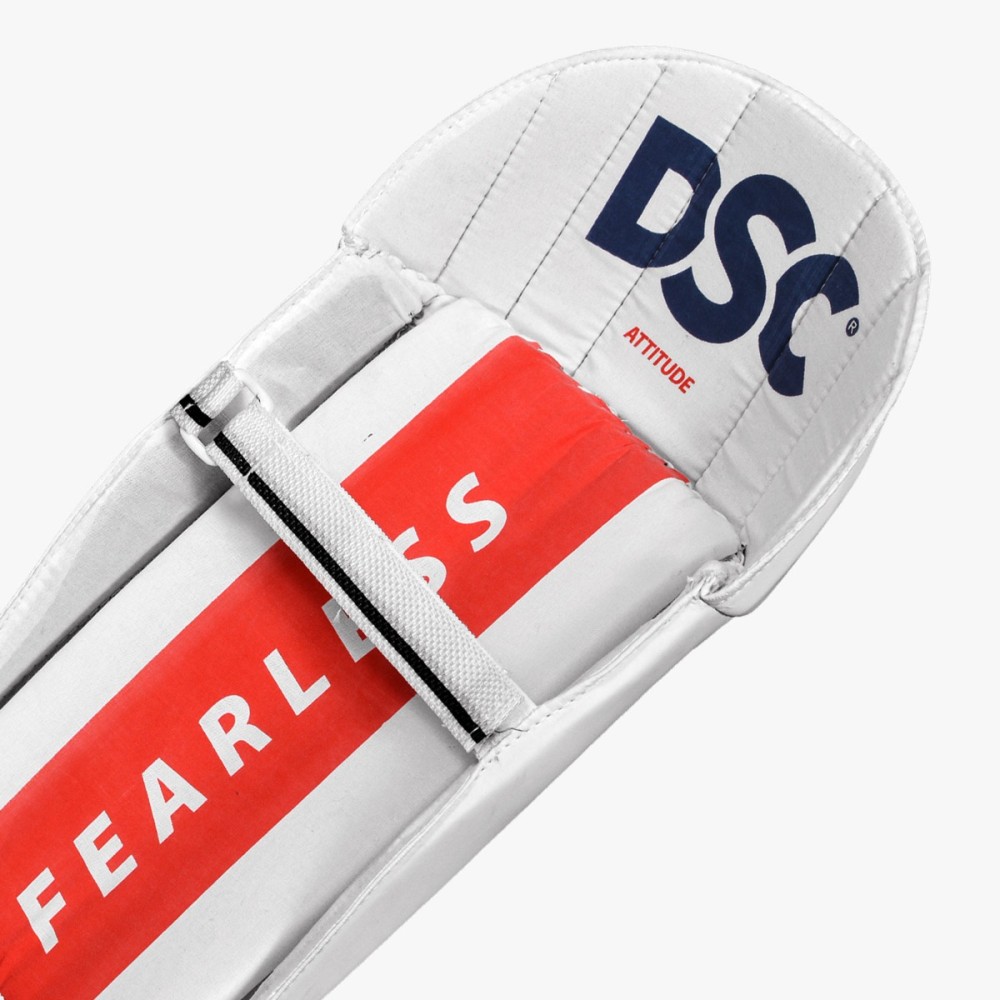 DSC Attitude Wicket Keeping Leg Guard, Boys