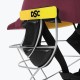 DSC Avenger Pro 2.0 Cricket Helmet, Maroon, Large